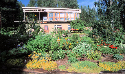 Sweden - Pia's garden in Morjärv