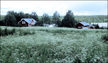 Sweden - Lappland