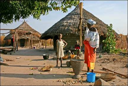 Senegal - Kolda Velingara, woman threshing corn