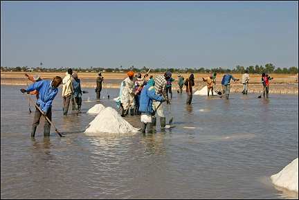 Senegal - Kaolack Mbour, salt winning