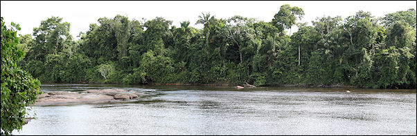 Suriname - Danpaati, view of Upper Suriname river