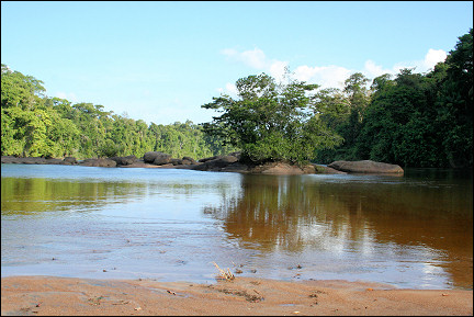 Suriname - Danpaati, beach