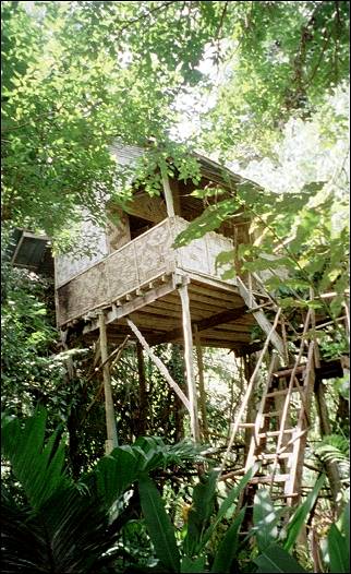 Thailand - Khao Sok, treehouse