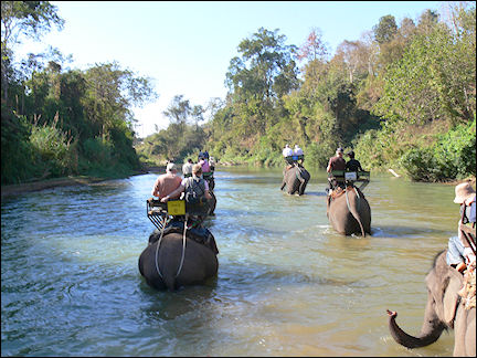 Thailand - Chiang Mai, elephant trek