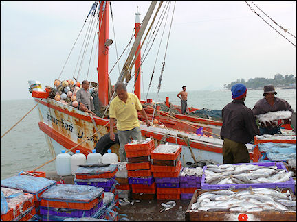 Thailand - Hua-Hin, fishing boats unload at the pier