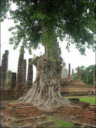Thailand - History Park Sukhothai