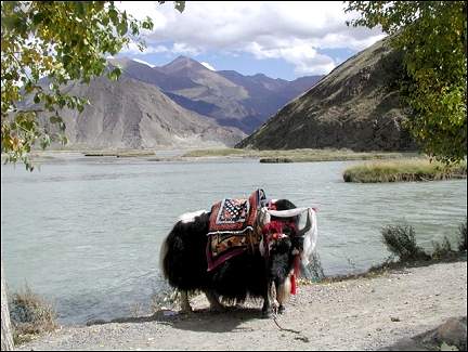 Tibet - Tsangpo (Brahmaputra upstream)