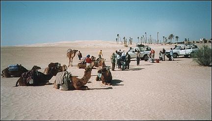 Tunisia - On the edge of the Sahara