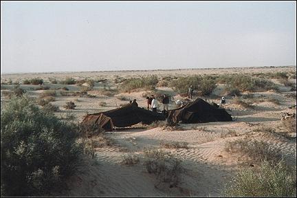 Tunisia - Bedoein tents