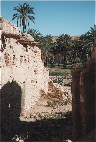 Tunisia - Dilapidated house in oasis of Mides