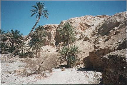 Tunisia - dry riverbed