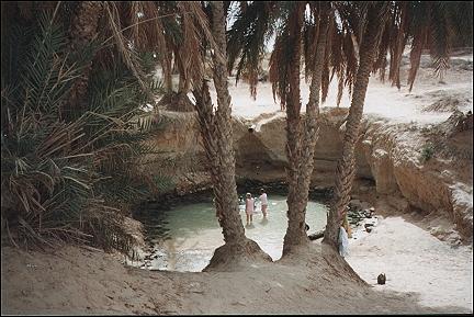 Tunisia - Natural source in the oasis