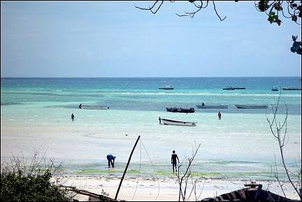 Tanzania, Zanzibar - Beach