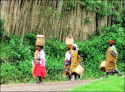 Uganda - Kisoro, women on their way to the market