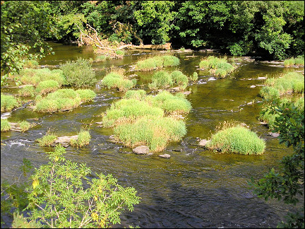 United Kingdom, Wales - Wye River at Boughrood / Llyswen