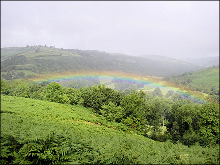 United Kingdom, Wales - Rainbow over a fern jungle