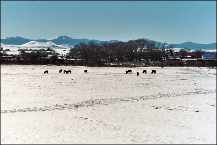 USA, Arizona - View of White Mountains near Springerville