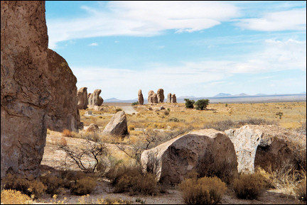 USA, New Mexico - The suburbs of the City of Rocks