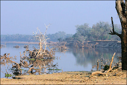 Zambia - Luangwa River